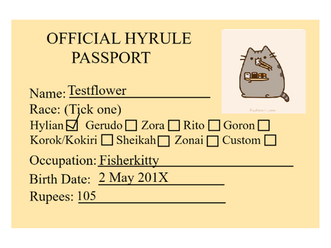 Official Hyrule passport (and korok torturer)