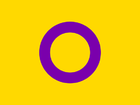 (Pride Month Day 26) Intersex Flag.