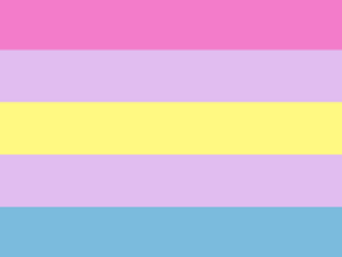 (Pride Month Day 30) Aporagender Flag.