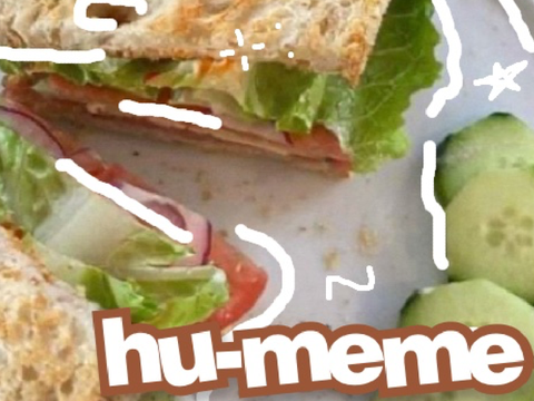 hu-meme