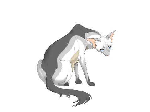 Shadowpelt
