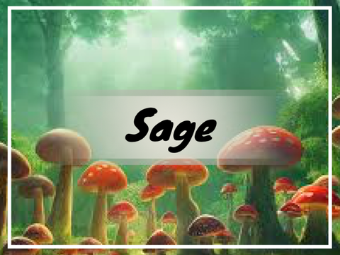 Sage - ref