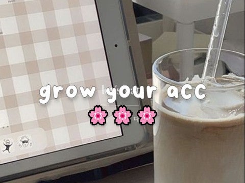 ෆ grow your ♡ ⏜   account ⌇