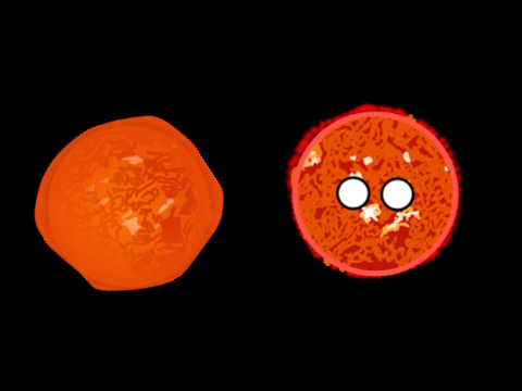 Comparison | astrojames
