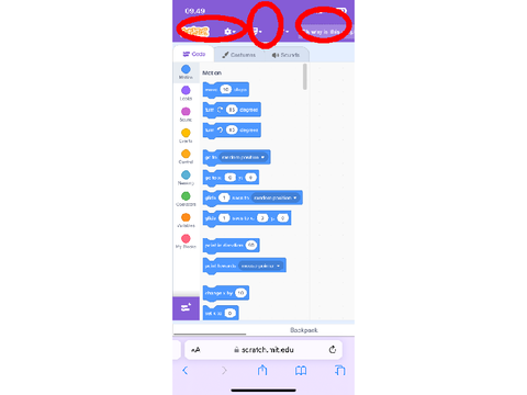 Ok why is this purple?!