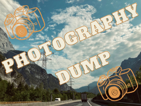 ~ my photography dump ~