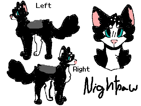 Open Cameos For LOKS : Nightpaw
