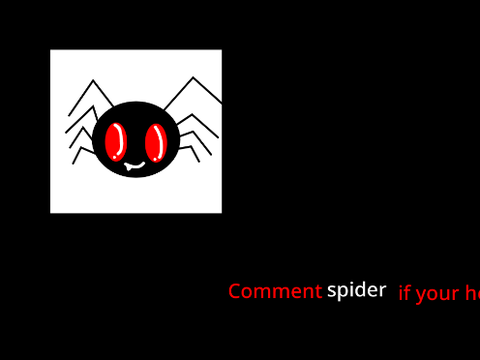 spider-  short