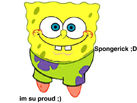 SPONGERICK