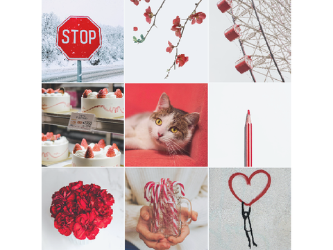 Moodboards for Designs