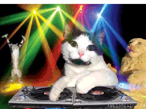 NICE BEATS BUT, WHAT?