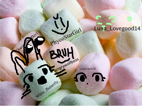 Add yourself as a marshmallow... remix remix! remix~!! remix remix