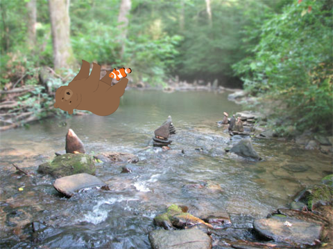 We're Going on a Bear Hunt