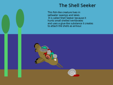 The shell seeker