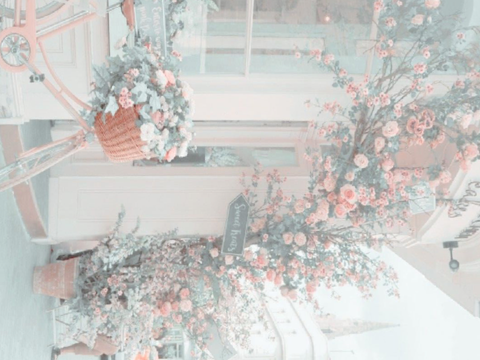 tne | for @turkeyeye’s crown - chapter 16