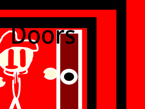  My Experience With Doors