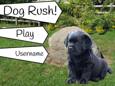 Dog Rush