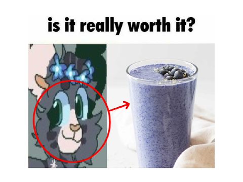 putting bluebell over goofy cats