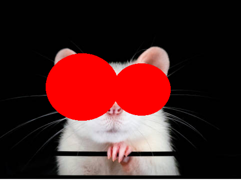 7 Foot Rat