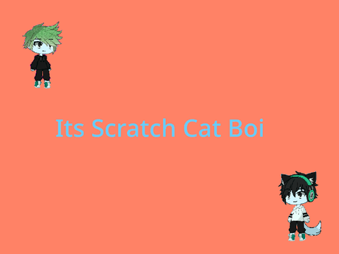 Its Scratch Cat Boi