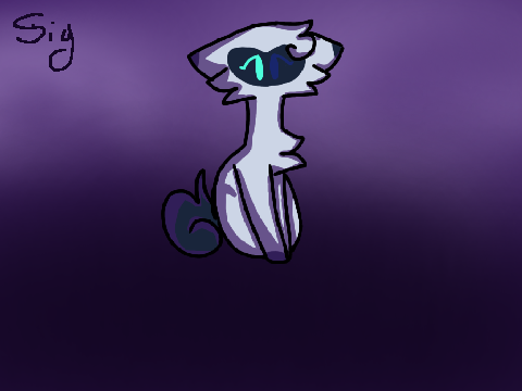 New art program?