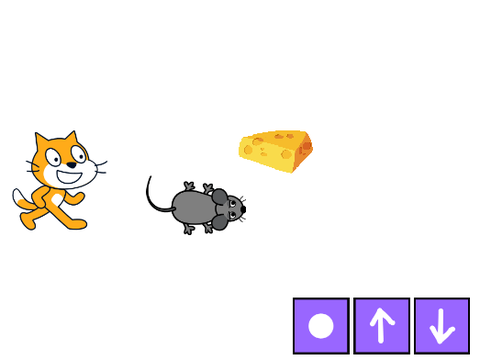 Cat and mouse 2nd day