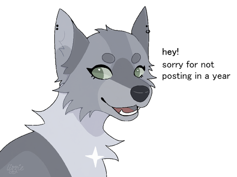sorry amigos