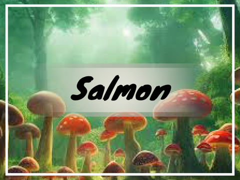 Salmon