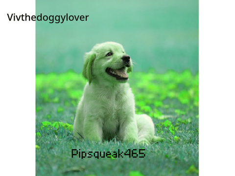 Dogs remix