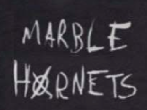 Marble Hornets anyone?