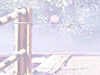 Project thumbnail