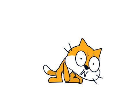 Scratch cat vomits