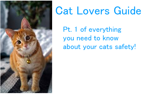 ❤Cat Lovers Guide❤
