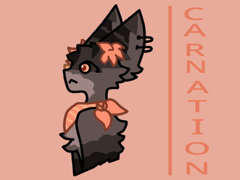 Rotating DTAE | Carnation