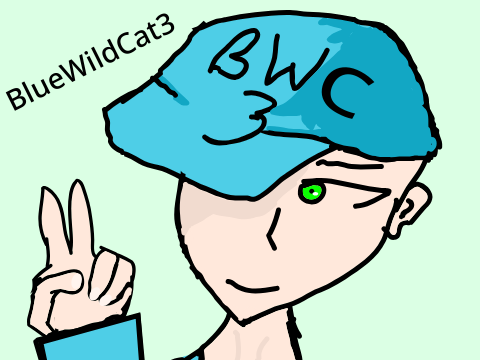 1000 Follower Entry