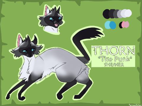 Spiky but kind, a Thorn application 