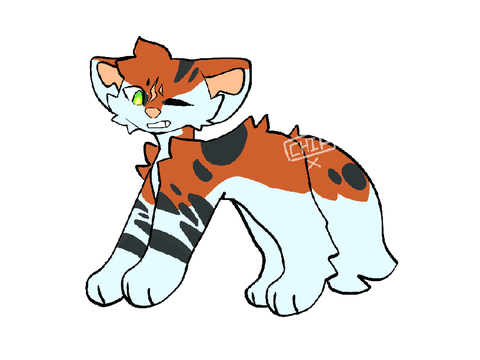 Caterpillarcheer bio