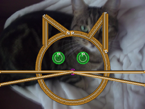 Cat Drawing with the Scratch Cat