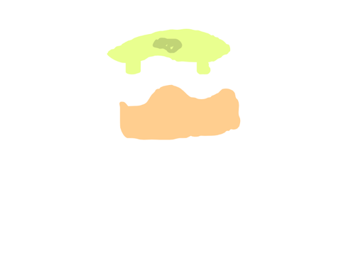 Eraser