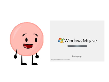 Windows Mojave was released before 2008
