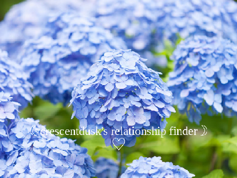 ☾ crescentdusk's relationship finder ☽