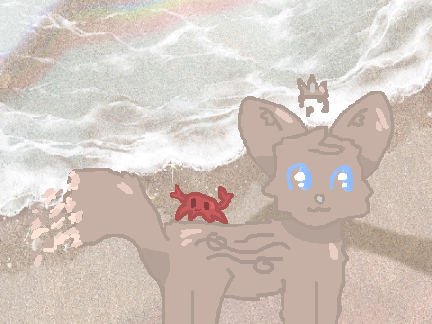 Beach DTAE
