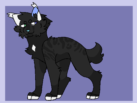 'shell boy' ~Stormseed Entry~ HCRP