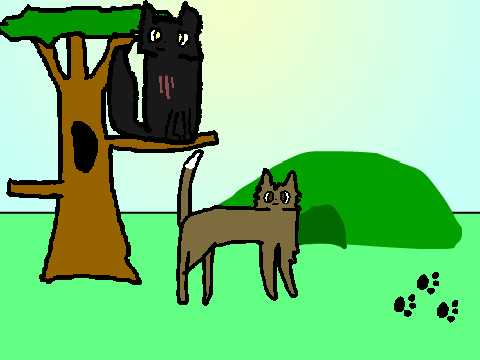 Badgerclan breeding