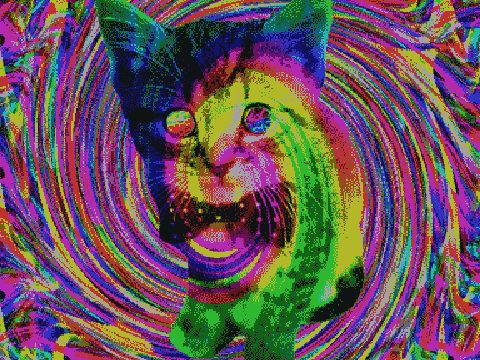 Seizure salad ⚠️⚠️DANGER⚠️⚠️