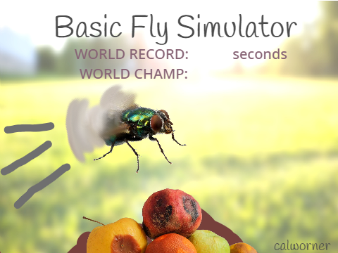 -Simple Fly Simulator-