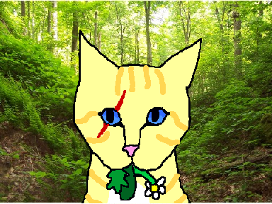 make a warrior cat remix