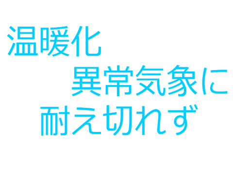 俳句大会　目指すは最優秀賞！