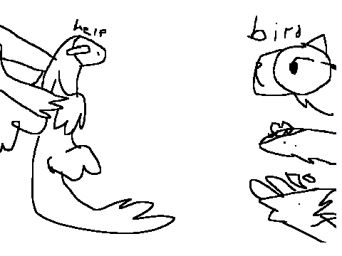 Microraptor oc :O (ARCHIVE)