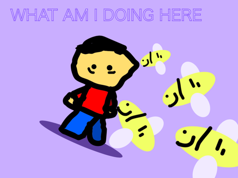 what am I doing here